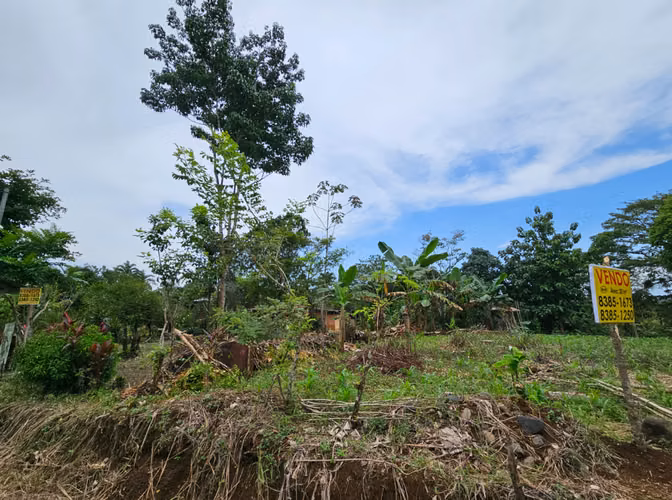 Venta de lote en San Carlos Katira - Imagen 2