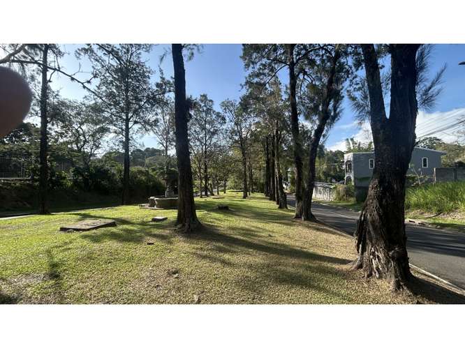 VENTA DE LOTE PARA APARTAMENTOS, CARIARI, BELEN 4148 (GC) - Imagen 11