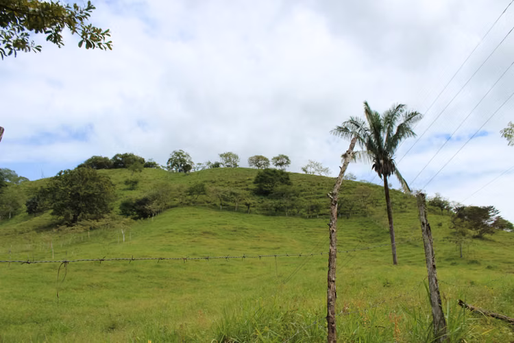 Venta de terreno en Nosarita