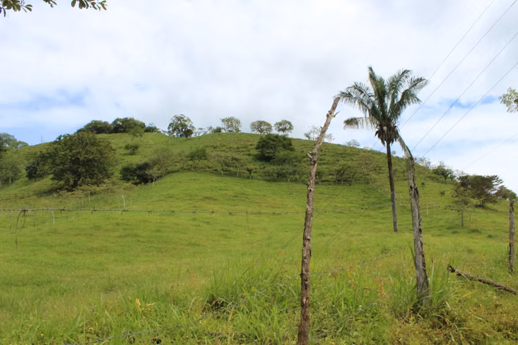 Venta de terreno en Nosarita