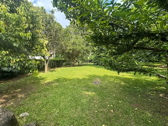 CIUDAD COLON. OPORTUNIDAD VENTA LOTE EXCLUSIVO MP 26-2249 - Imagen 10
