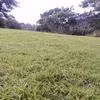 Terreno en Venta en Santa Ana, Alto de Las Palomas 12356 - Imagen 10