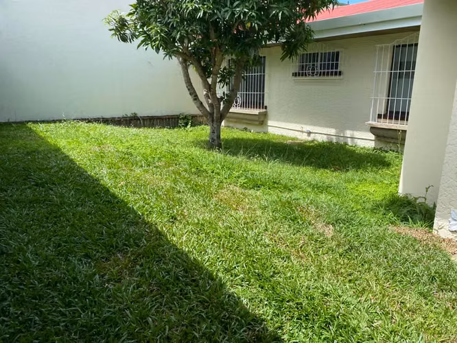 ID #1523CURRIDABAT PLAZA SOL CASA AMPLIA 1 PLANTA - Imagen 1