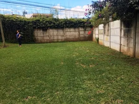 ID #1374 TRES RIOS DULCE NOMBRE CASA 1 PLANTA Y APTO  GRAN TERRENO - Imagen 5