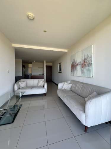 Se Alquila Apartmento De 3 Habitaciones Amueblado En Torres San Marino, San de Francisco Heredia - Imagen 11