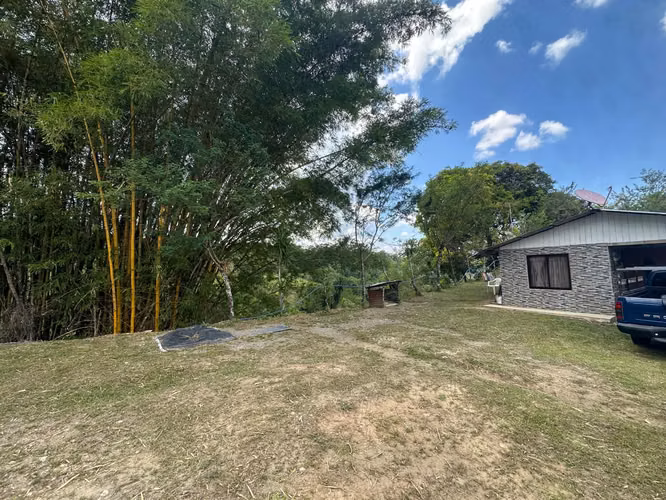 Venta finca en Linoncito de Coto Brus- Puntarenas - Imagen 3