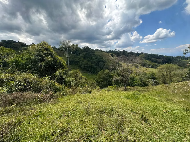 Venta finca en Linoncito de Coto Brus- Puntarenas - Imagen 15