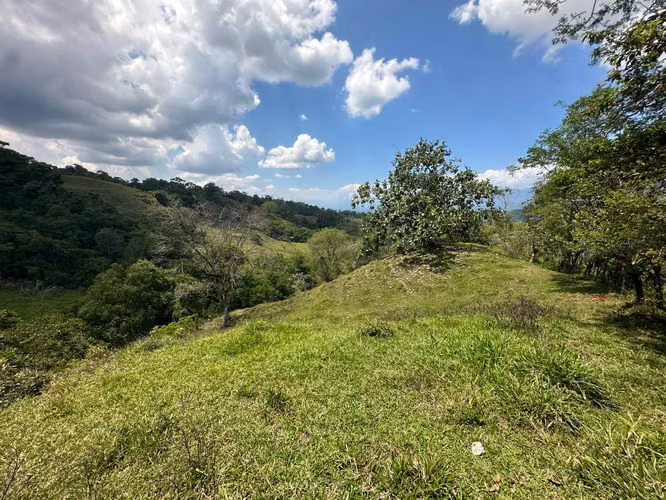 Venta finca en Linoncito de Coto Brus- Puntarenas - Imagen 13