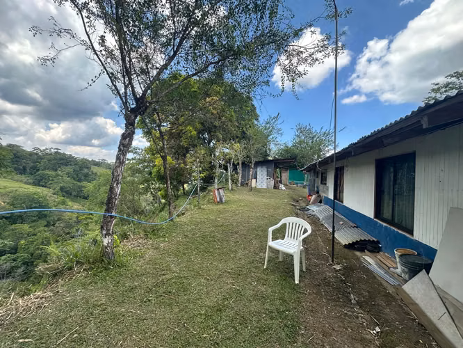 Venta finca en Linoncito de Coto Brus- Puntarenas - Imagen 11