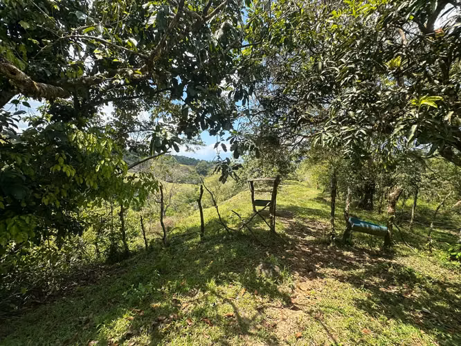 Venta finca en Linoncito de Coto Brus- Puntarenas - Imagen 9