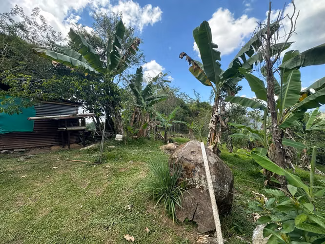 Venta finca en Linoncito de Coto Brus- Puntarenas - Imagen 12