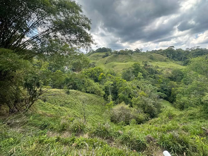 Venta finca en Linoncito de Coto Brus- Puntarenas - Imagen 14
