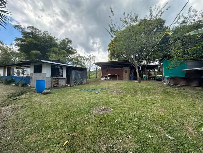 Venta finca en Linoncito de Coto Brus- Puntarenas - Imagen 8