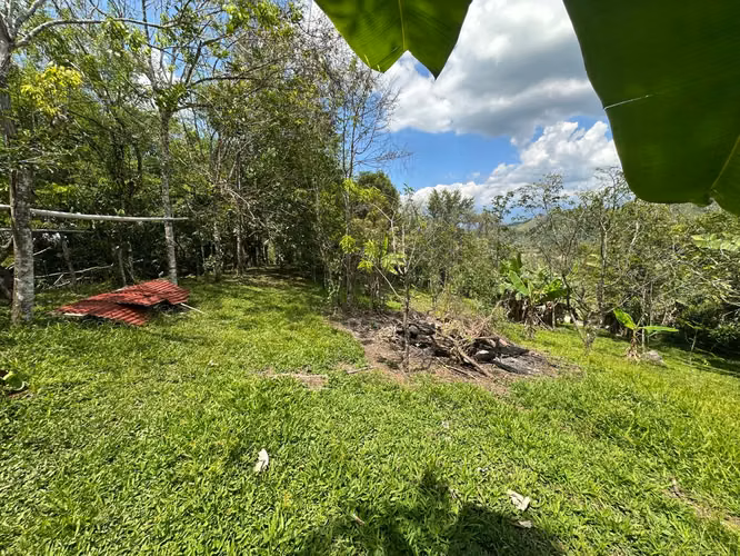 Venta finca en Linoncito de Coto Brus- Puntarenas - Imagen 5
