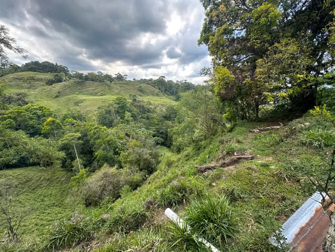 Venta finca en Linoncito de Coto Brus- Puntarenas - Imagen 2