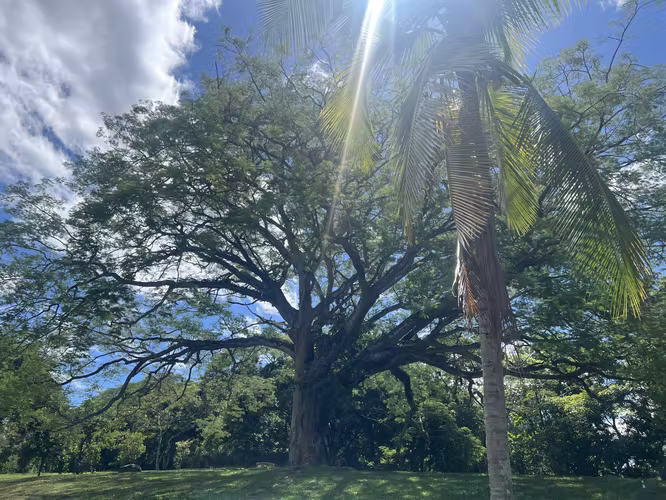 Se Vende Quinta en La Garita, Alajuela, Costa Rica