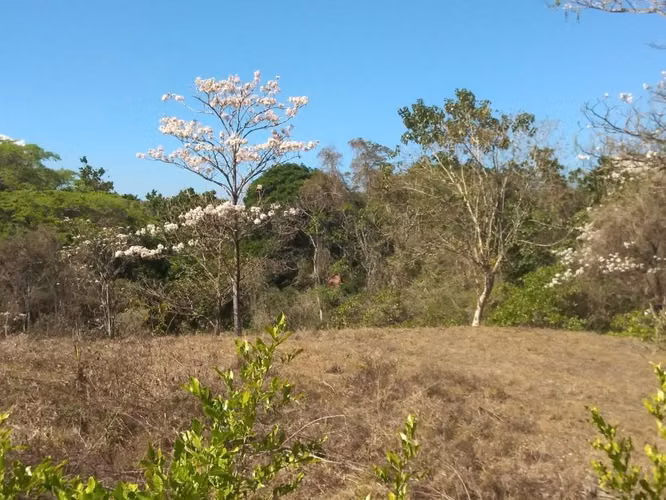Finca en venta Turrubares - Imagen 5