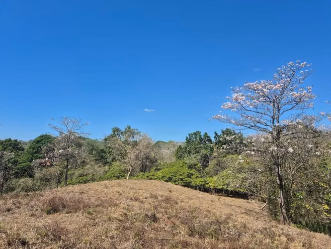 Finca en venta Turrubares - Imagen 4