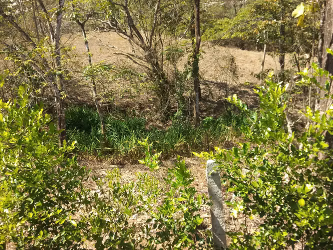 Finca en venta Turrubares - Imagen 8