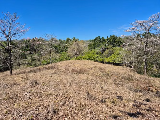 Finca en venta Turrubares
