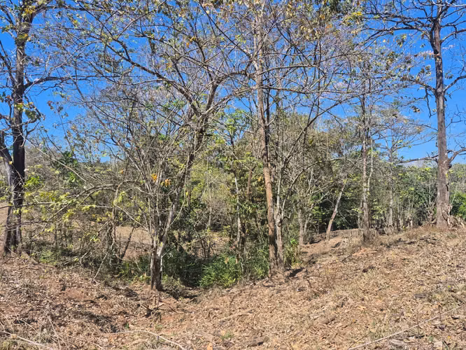 Finca en venta Turrubares - Imagen 7
