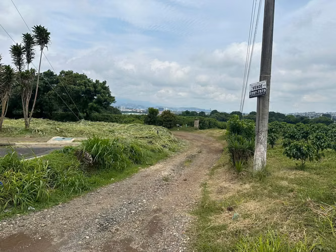 VENTA LOTES SAN PABLO HEREDIA