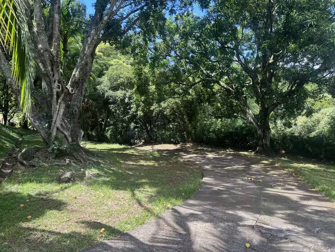 Se Vende Quinta/ Terreno en La Garita - Imagen 3