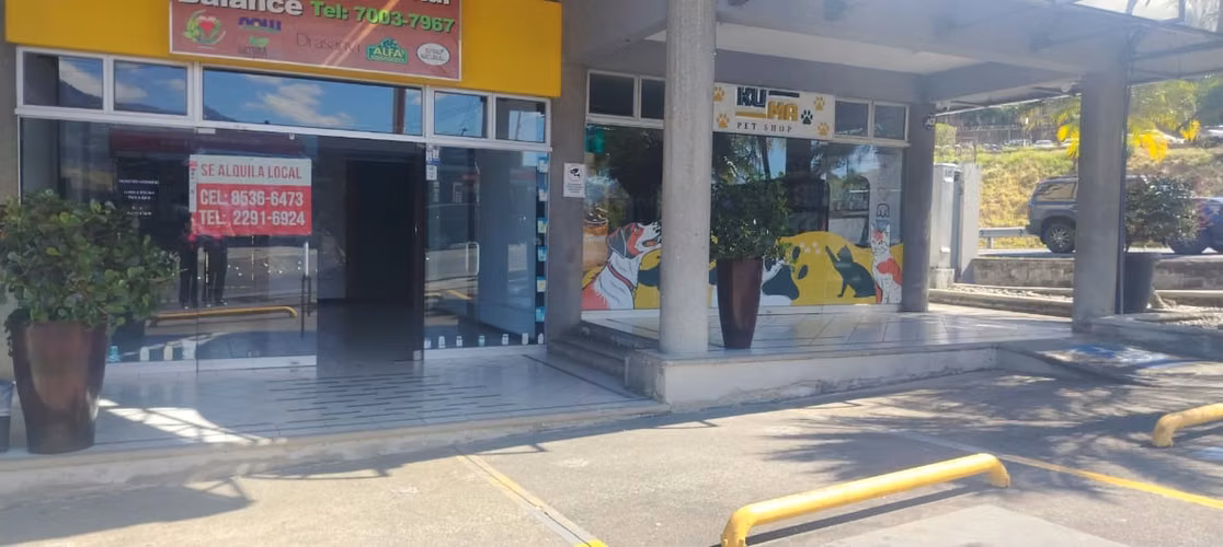 LOCAL COMERCIAL