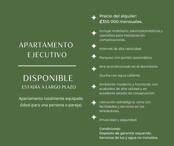 APARTAMENTO TOTALMENTE EQUIPADO DISPONIBLE A PARTIR DE  OCTUBRE 2026 - Imagen 10