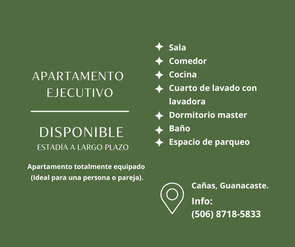 APARTAMENTO TOTALMENTE EQUIPADO DISPONIBLE A PARTIR DE  OCTUBRE 2026 - Imagen 9