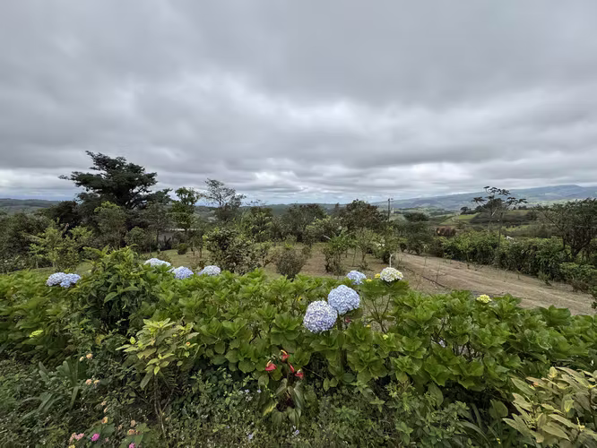 Venta Quinta San Ramón, Alajuela. VASRJ159 - Imagen 4