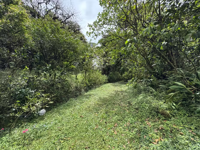 Venta Quinta San Ramón, Alajuela. VASRJ159 - Imagen 15