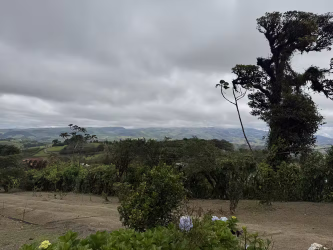 Venta Quinta San Ramón, Alajuela. VASRJ159 - Imagen 3