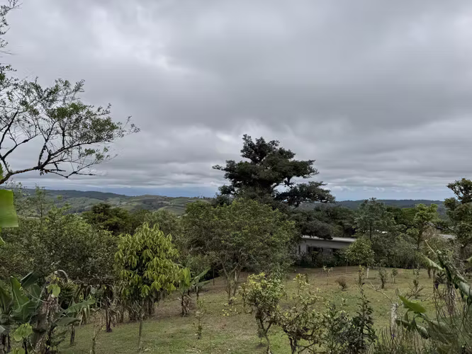 Venta Quinta San Ramón, Alajuela. VASRJ159 - Imagen 5