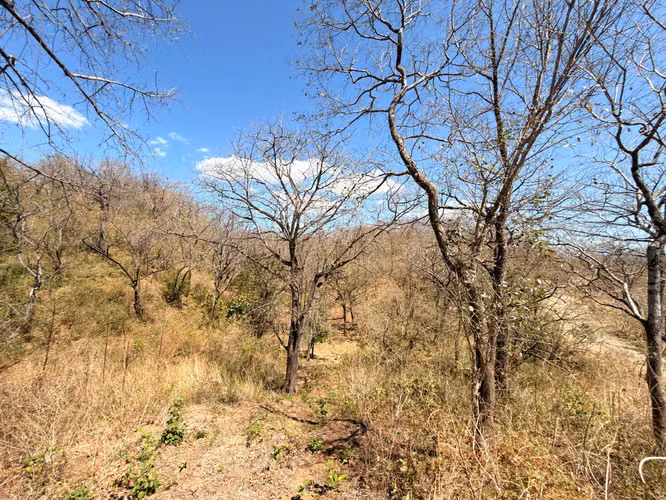 Terreno en venta en Guanacaste - Marbella