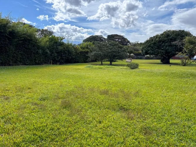ID #1594 TRES RIOS VENTA LOTE AMPLIO URBANIZABLE