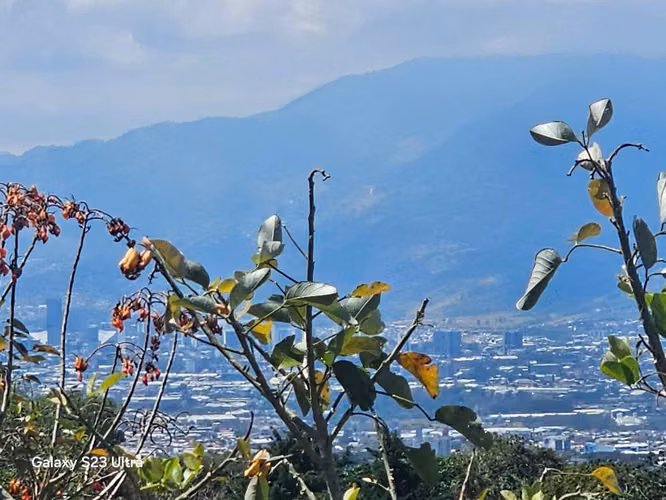 Terreno enorme para inversión a precio de ganga - Imagen 2