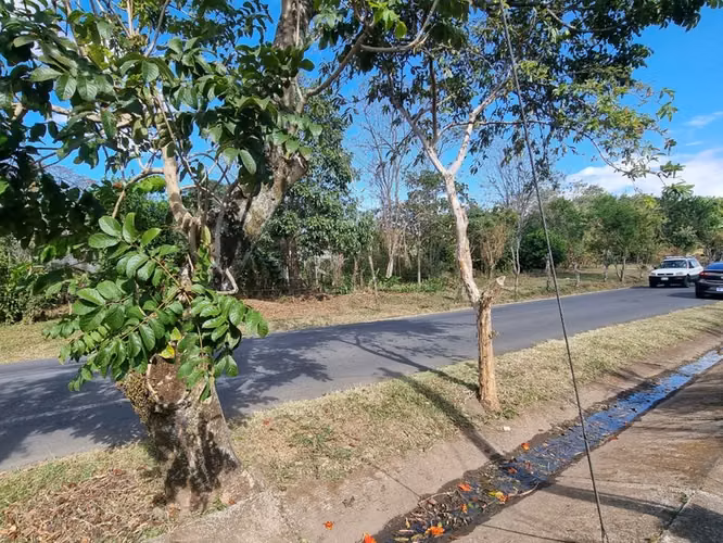 Terreno en Venta en Heredia, San Lorenzo 12352