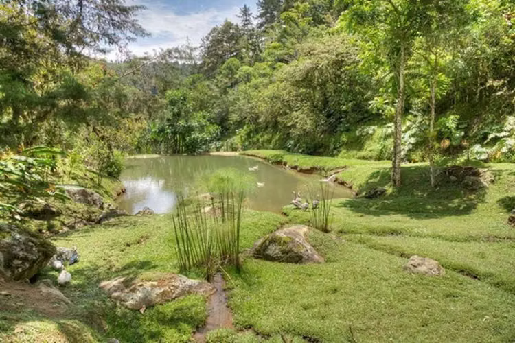 Valle de Orosi, Espectacular Casa de Montaña, 10 Hectáreas, Bosque