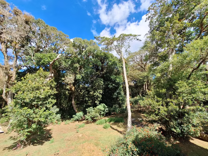 VENTA DE CASA DE MONTAÑA EN EL TIROL, SAN RAFAEL DE HEREDIA - Imagen 4