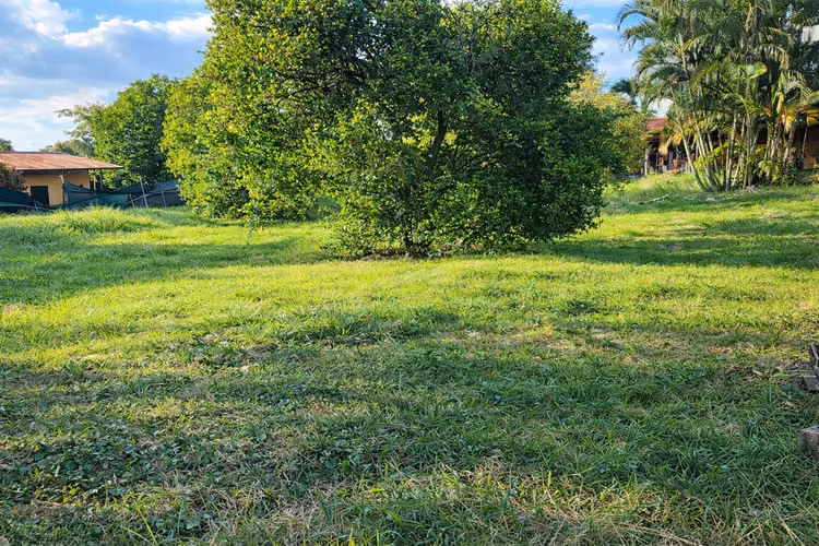 TERRENO COMERCIAL | 4.625 m² | $291/m² | A 15 MIN DEL AEROPUERTO