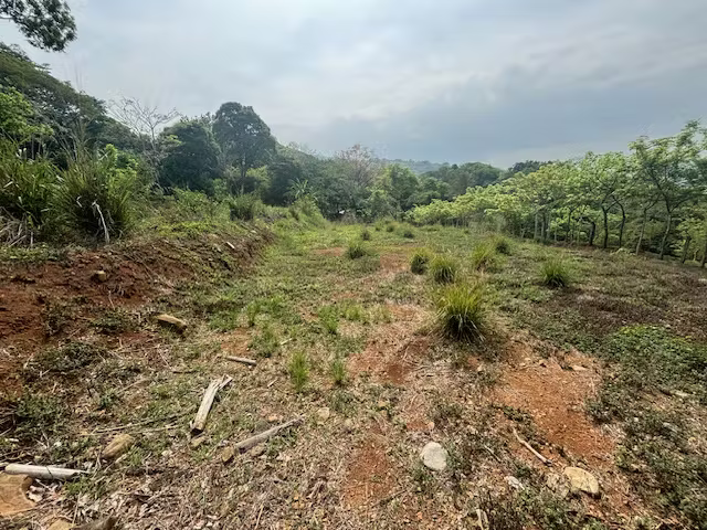 Lote a menos de 5 minutos de la 27 en el campo de Atenas - Imagen 7