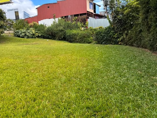 ID #1594 LINDO Y AMPLIO LOTE SAN DIEGO TRES RIOS URBANIZABLE - Imagen 4