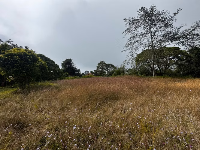 SE VENDE LOTE EN VÁZQUEZ DE CORONADO, SAN JOSÉ - Imagen 6