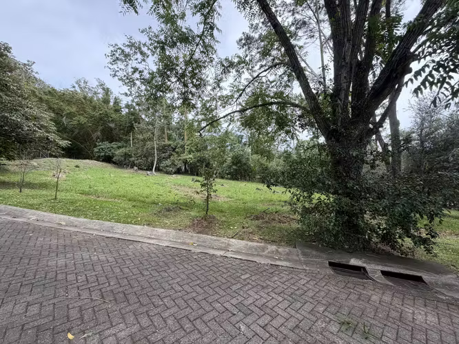 Un lote para hacer una casa realmente especial, Escazú