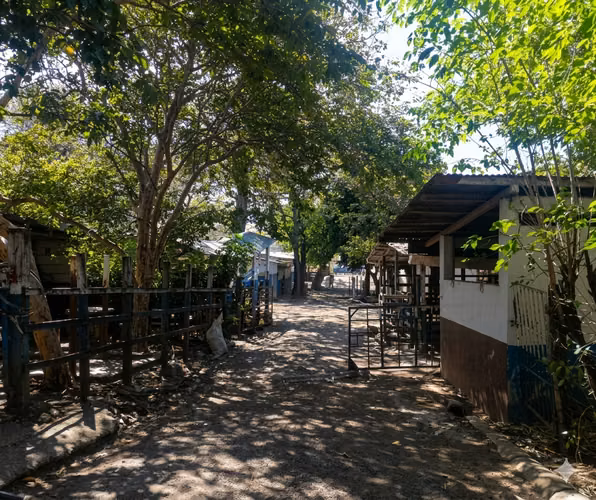 OPORTUNIDAD ÚNICA Terreno en Santa Ana Alta Densidad! - Imagen 5