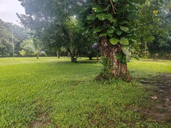 Esparza - Respira vida, Propiedad con alma verde - Imagen 11
