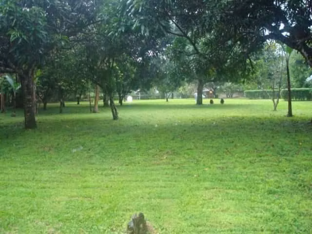 Esparza - Respira vida, Propiedad con alma verde - Imagen 8