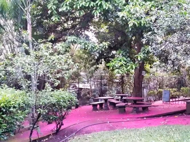 *Venta de Propiedad con Uso Mixto en Río Oro de Santa Ana