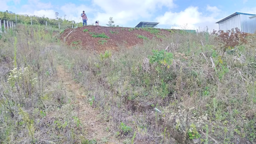 Venta de lote de 2003 m2 en Poas Alajuela